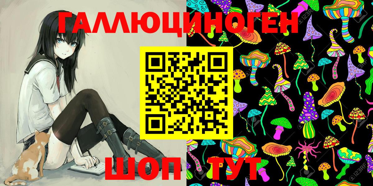 Новозыбков  Псилоцибиновые грибы мухоморы  купить наркотики цена  Галлюциногенные грибы MAGIC MUSHROOMS  Вход с VPN 